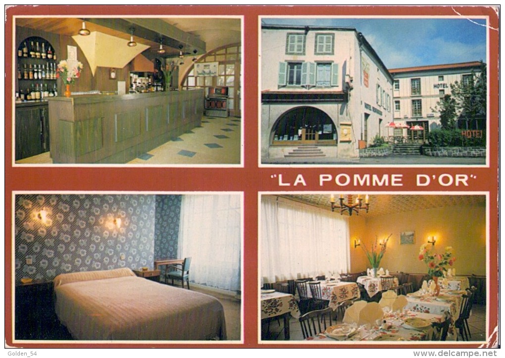 "LA POMME D'OR" HOTEL - BAR - RESTAURANT 63960 VEYRE MONTON - Veyre Monton