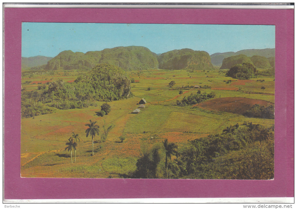 VALLE DE VINALES PINAR DEL RIO CUBA - Cuba