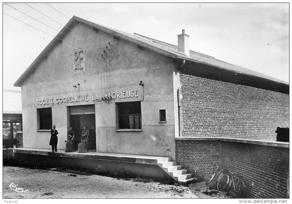 CARTE POSTALE MODERNE. SOMME. NOYELLES-SUR-MER. LA COOPERATIVE " LA LABORIEUSE ". - Noyelles-sur-Mer