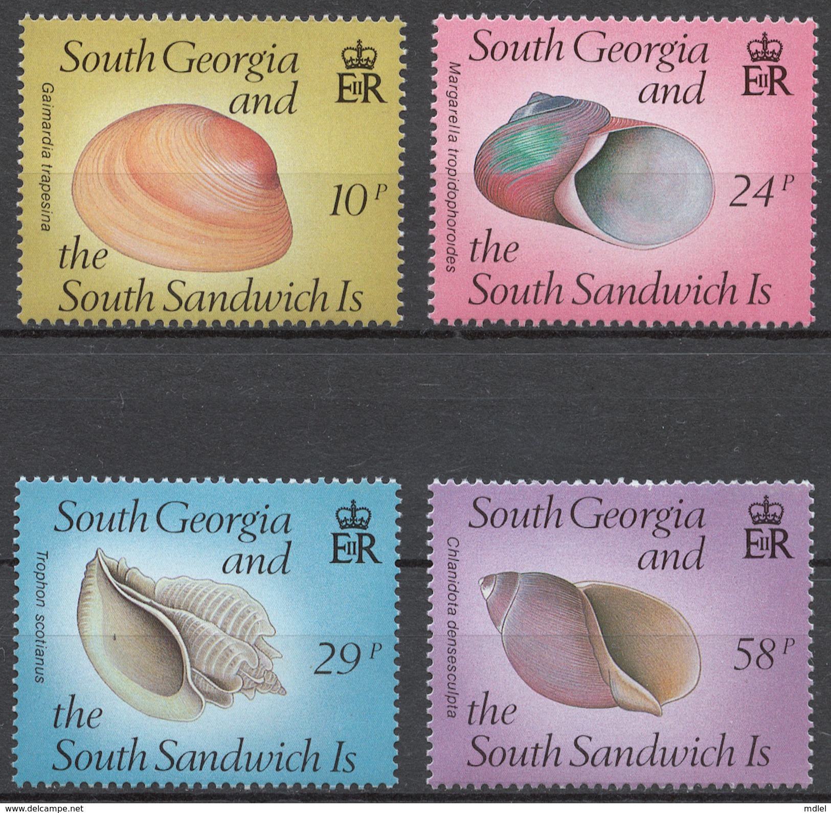 South Georgia 1988 Mi# 168-71** SEA SHELLS - Südgeorgien