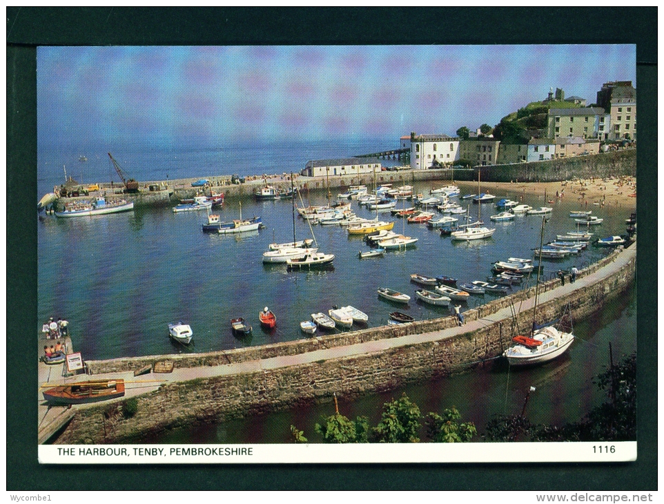 WALES  -  Tenby  The Harbour  Used Postcard - Pembrokeshire