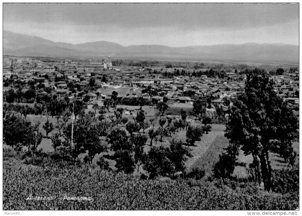 AVEZZANO   PANORAMA   (NUOVA) - Avezzano