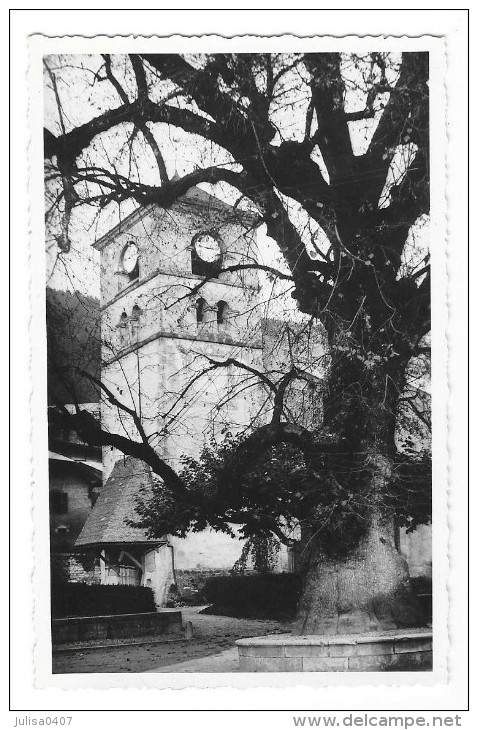 SAMOENS (74) Carte Photo Place église Arbre Tilleul - Samoëns