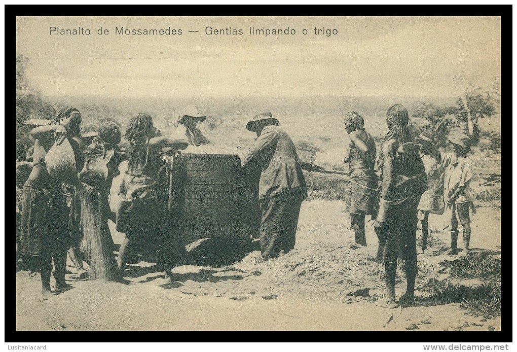 ANGOLA -MOÇAMEDES - COSTUMES -Gentias Limpando Trigo ( Ed. Julio Rogado Leitão Lda.) Carte Postale - Angola