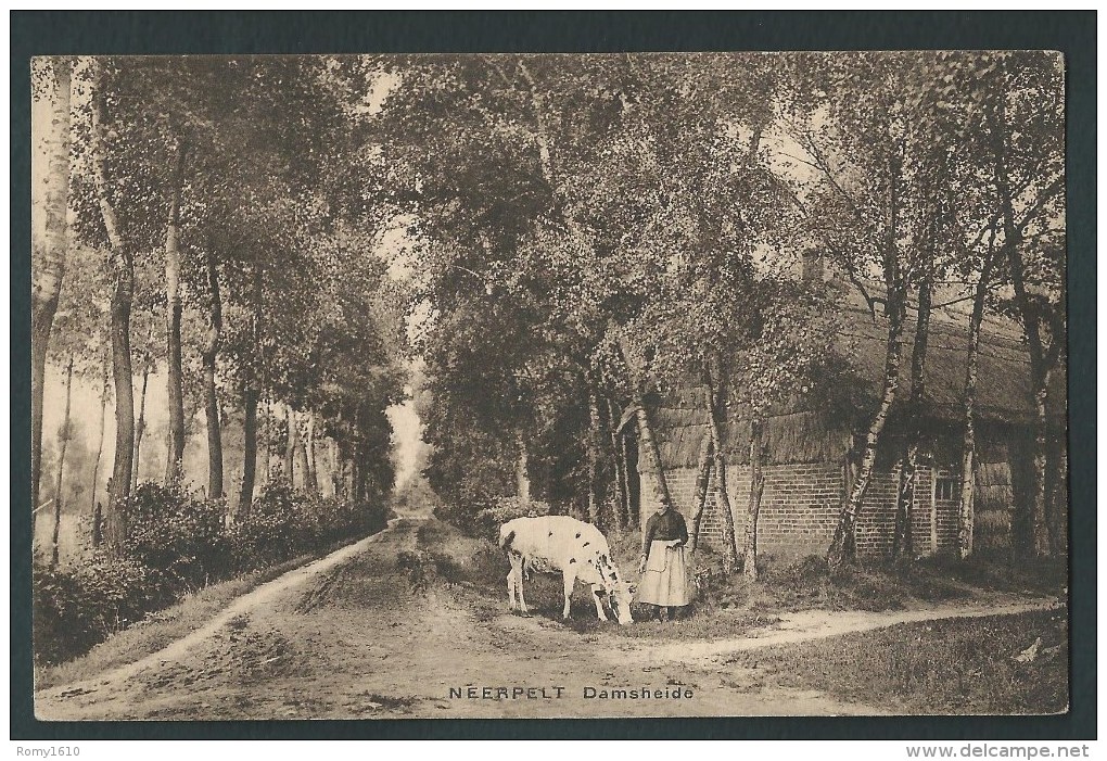 Neerpelt.  Damsheide. Jolie Carte Animée. - Neerpelt