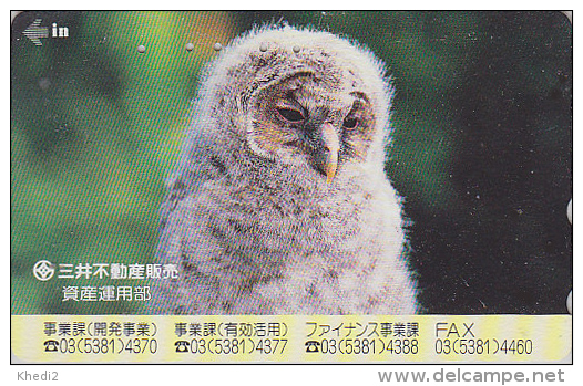 Télécarte Japon - Animal - Oiseau HIBOU BEBE CHOUETTE HULOTTE  - OWL Bird Japan Phonecard - EULE Telefonkarte - BE 4192 - Gufi E Civette