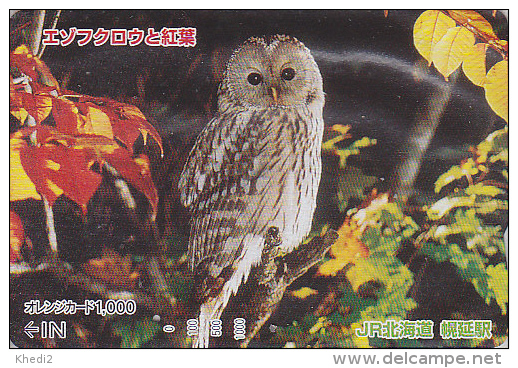 RARE Carte Orange Japon - Animal - Oiseau HIBOU CHOUETTE HULOTTE - OWL Bird Japan JR Prepaid Card - EULE - 4196 - Búhos, Lechuza