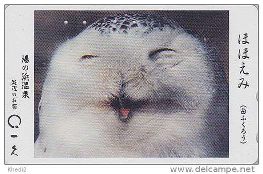 RARE Télécarte Japon / 410-20020 - Oiseau HIBOU HARFANG - SNOW OWL Bird Japan Phonecard - EULE Vogel Telefonkarte - 4200 - Eulenvögel