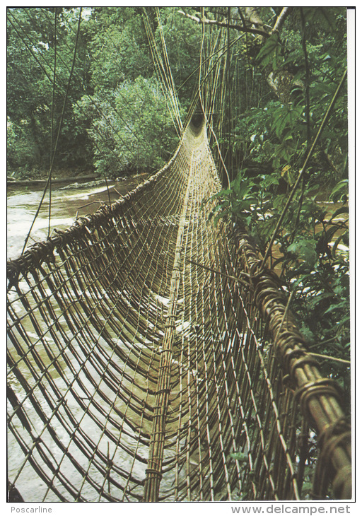 Gabon,  Pont De Lianes De Poubara,   2 Scans - Gabón