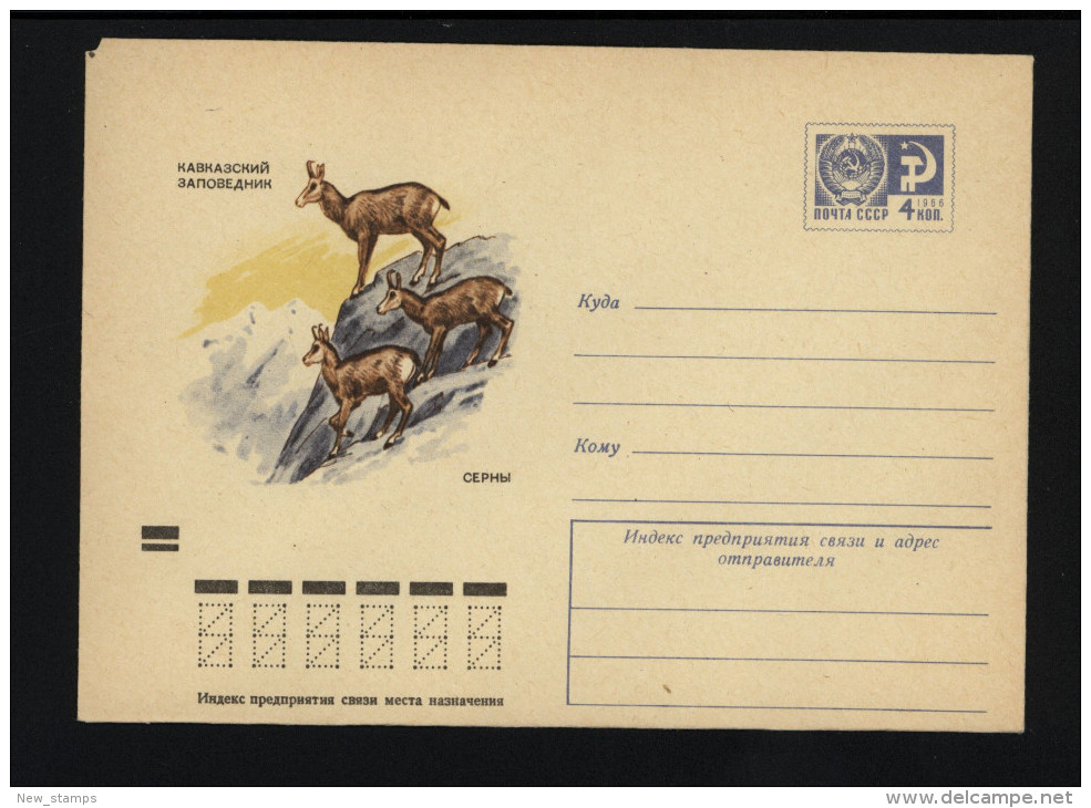 USSR 1973 Postal Cover Fauna Chamois (052) - Autres & Non Classés