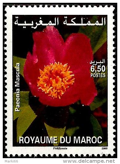 Morocco - 2006 - Flower - Peony - Mint Stamp - Morocco (1956-...)