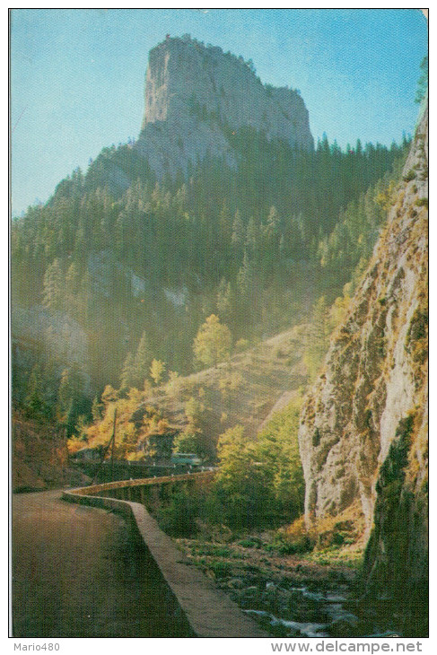 REPUBLICA  POPULARA  ROMINA  CHEILE BICAZULUI---THE BICAZ GORGE     ( NUOVA) - Romania