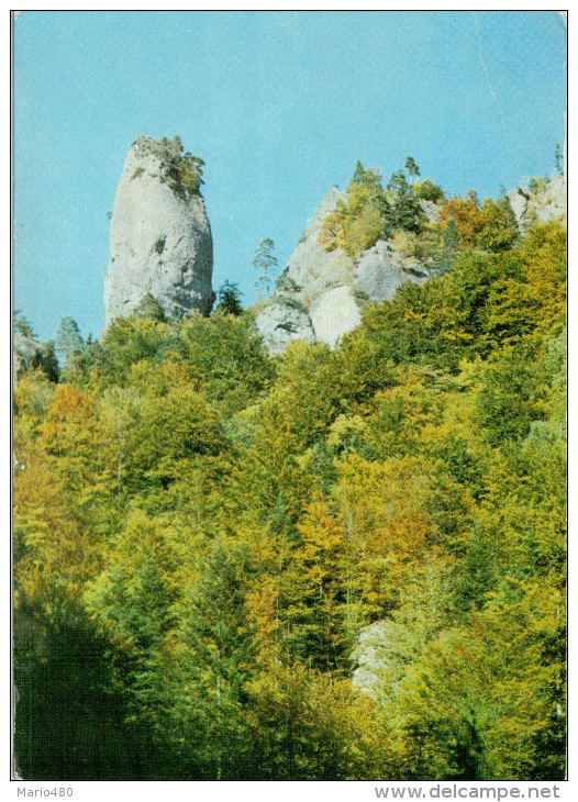 OLANESTI    VALEA OLANESTIULUI--LA VALLEY OF THE RIVER OLANESTI        ( NUOVA) - Romania