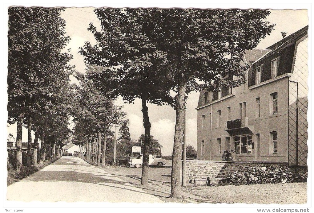 HAUT - FAYS   ----  " Hôtel Des Ardennes " ( Route  Wellin Gedinne ) - Daverdisse