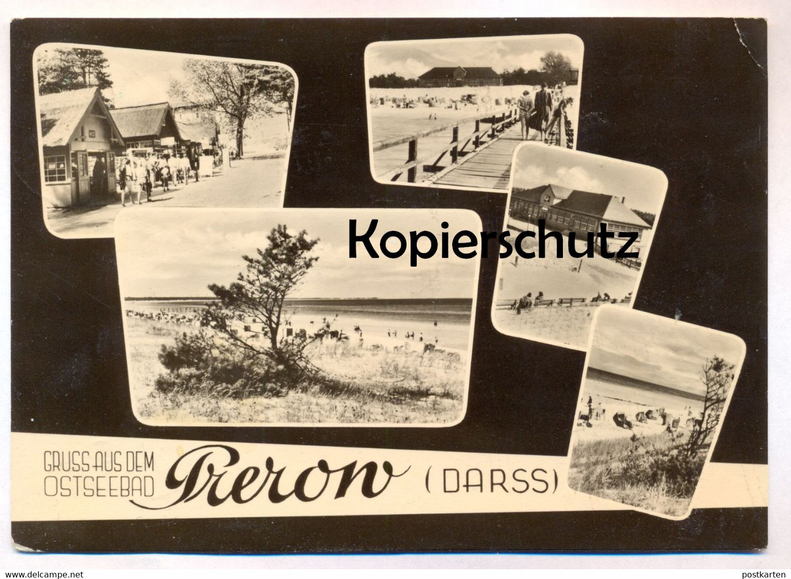 ÄLTERE POSTKARTE GRUSS AUS DEM OSTSEEBAD PREROW DARSS Ostsee Postcard Ansichtskarte Cpa AK - Seebad Prerow