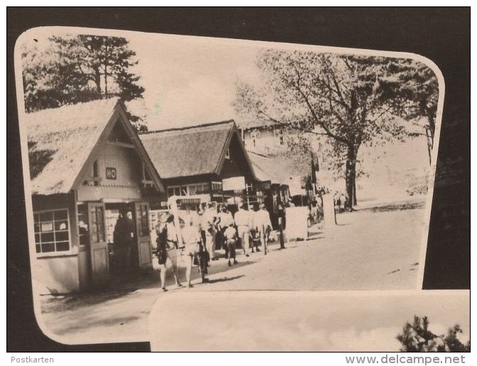 ÄLTERE POSTKARTE GRUSS AUS DEM OSTSEEBAD PREROW DARSS Ostsee Postcard Ansichtskarte Cpa AK - Seebad Prerow