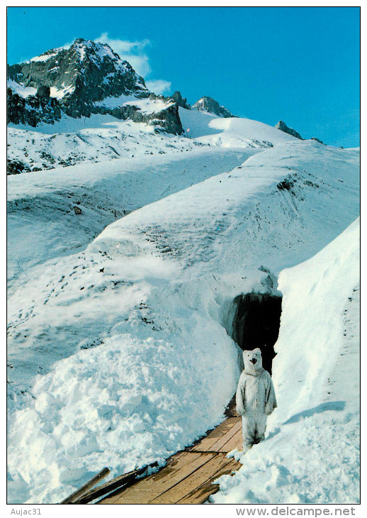 Switzerland - Suisse - Valais - Ours - Personne Dégisée En Ours - Eisgrotte Am Rhonegletscher Beim Belvédère Furkapass - Autres & Non Classés