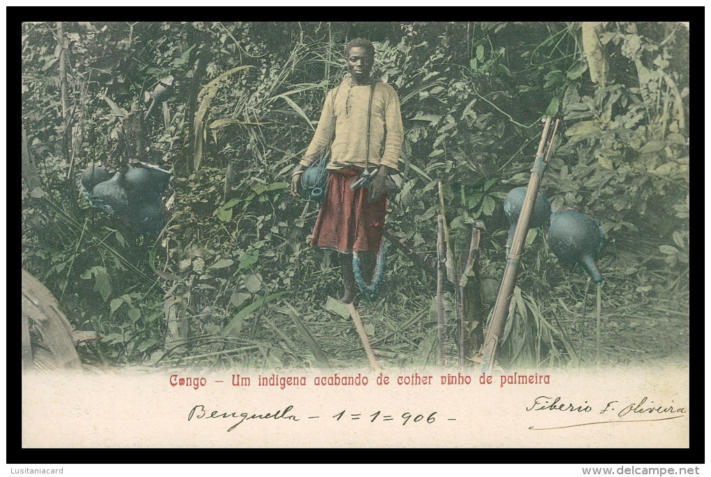 ANGOLA - CONGO - COSTUMES - Um Indigena Acabando De Colher Vinho De Palmeira Carte Postale - Angola