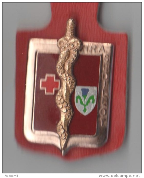 INSIGNE  HRA SEDILLOT HOPITAL REGIONAL DES ARMEES , Chardon Vert Et Violet - DRAGO PARIS G 2427 - Medicina