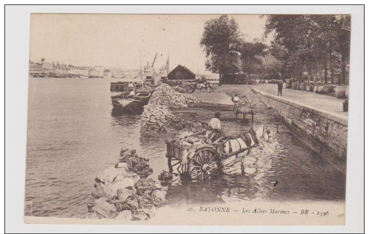 64 Bayonne - Les Allées Marines - Bayonne