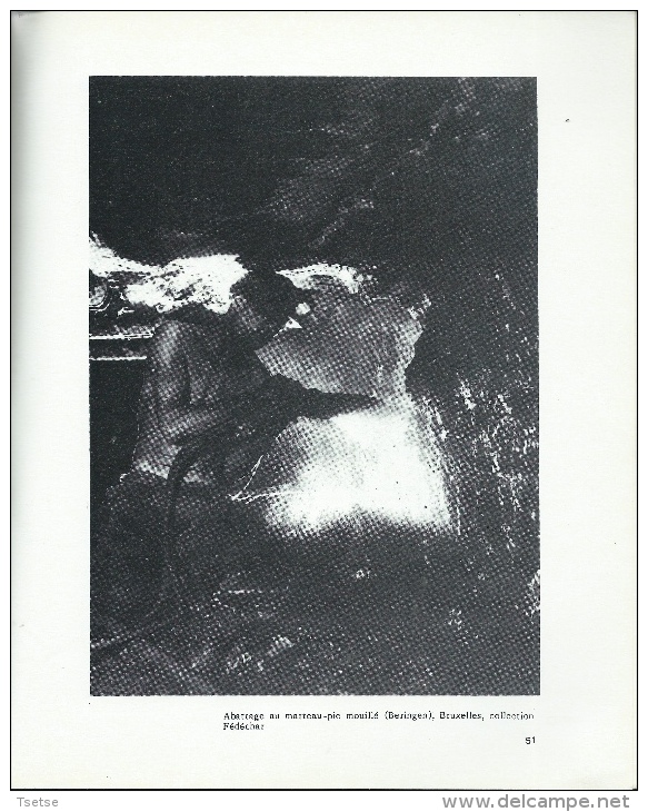 Livre retraçant le travail dans la mine dans la région de la Louvière , écrit par Gaston Mansy 1989 ( voir scan )