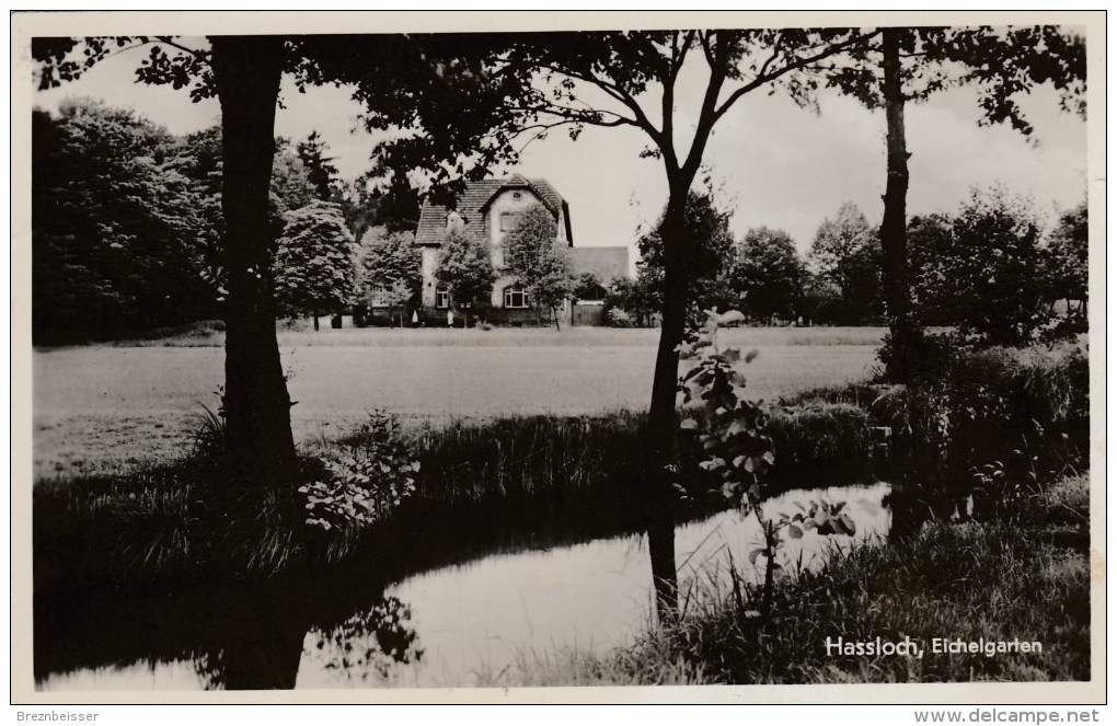 AK HASSLOCH - Eichelgarten - Karte Gel. 1935 - Hassloch