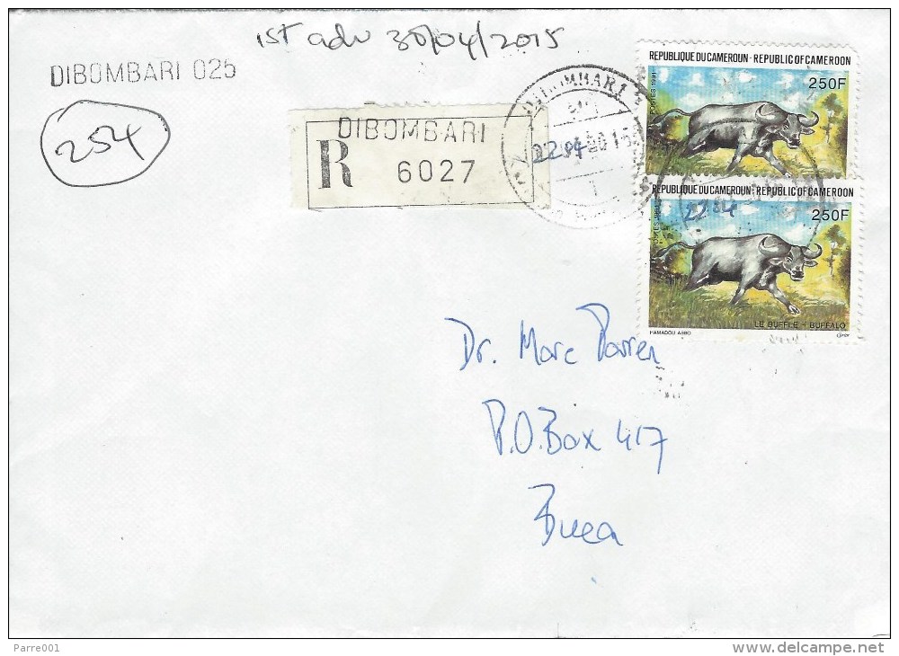 Cameroun Cameroon 2015 Dibombari Inde1 Buffalo Registered Domestic Cover - Cameroon (1960-...)