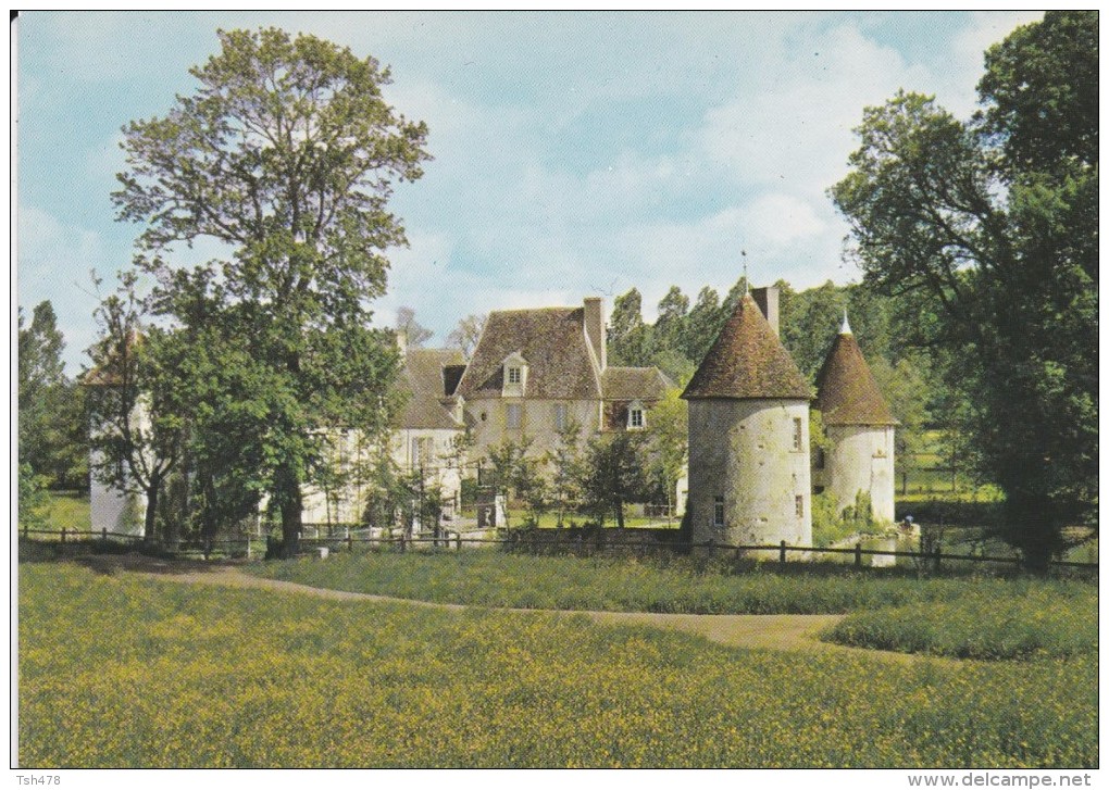 58---BRINION SUR BEUVRON---le Château---voir 2 Scans - Brinon Sur Beuvron