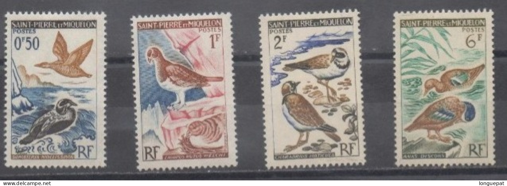 SAINT-PIERRE Et MIQUELON :Faune - Oiseaux : Eiders, Lagopèdes Muet, Gravelots, Sarcelles - - Unused Stamps