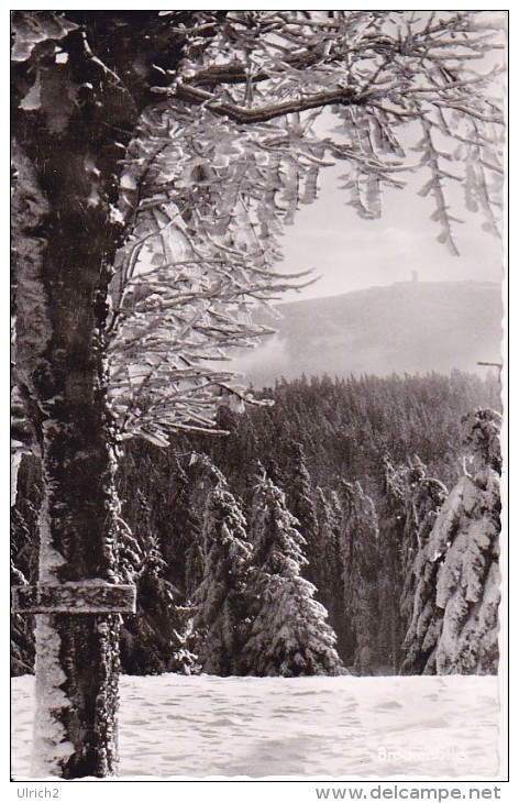 AK Torfhaus - Sporthotel Brockenblick - Winter (21518) - Clausthal-Zellerfeld