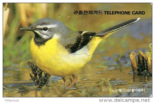 Oiseau Bird Télécarte Corée Phonecard Telefonkarte B217 - Corée Du Sud