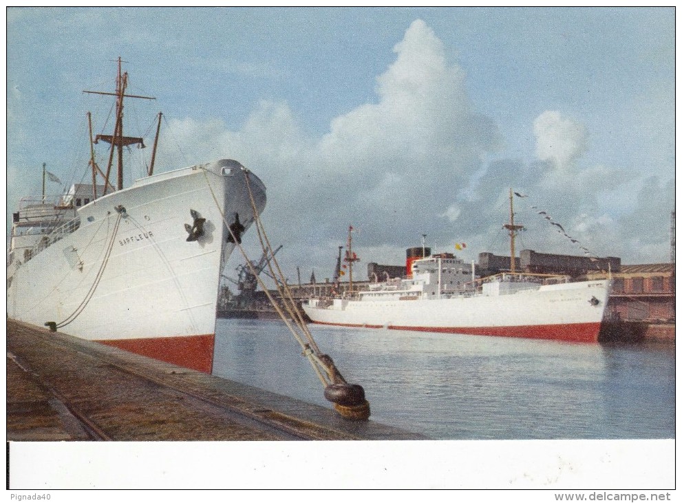 Cp , TRANSPORTS , FORT RICHELIEU , Bananiers Dans Le Port De Dieppe - Commerce