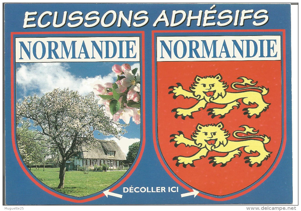 Blason Armoiries  Normandie  Héraldique Ecusson Adhésif - Other & Unclassified