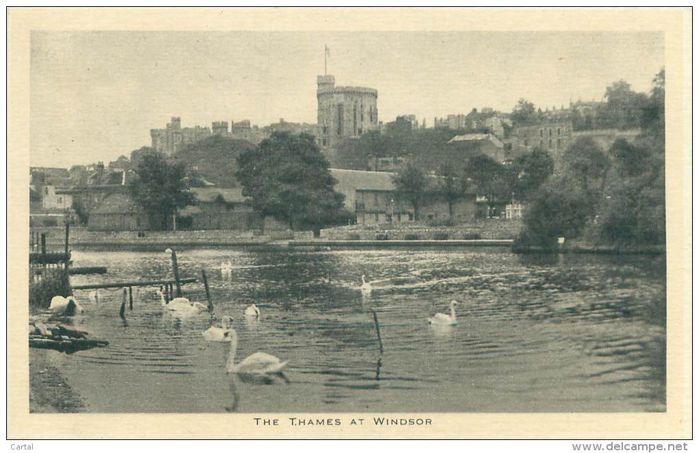 The Thames At WINDSOR - Windsor