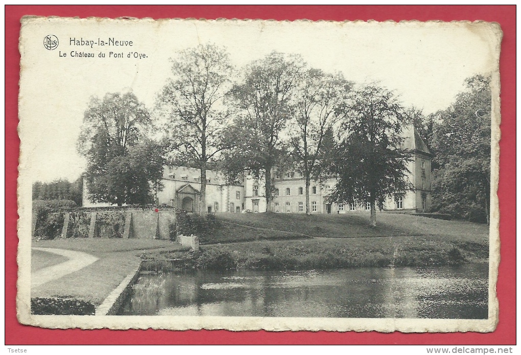 Habay-la-Neuve - Le Château Du Pont D´Oye ( Voir Verso ) - Habay