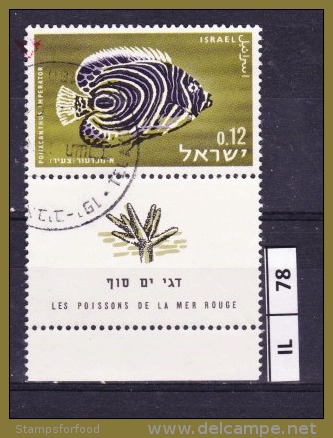 ISRAELE, 1963, Pesci Mar Rosso, 0,12, Usato, Con Tab - Used Stamps (with Tabs)