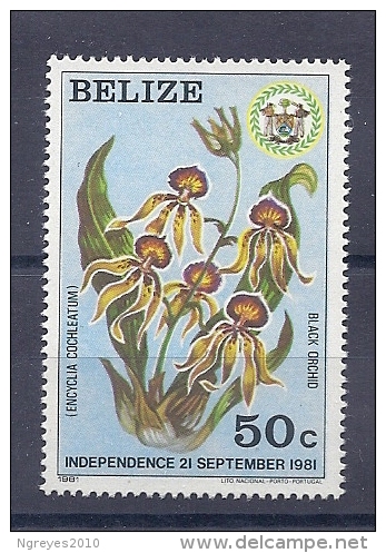 150025269  BELIZE. YVERT  .  Nº  562  **/MNH - Belize (1973-...)