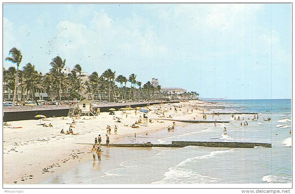 CPSM USA - Florida - Palm Beach - Breakers Hôtel In Background - Palm Beach