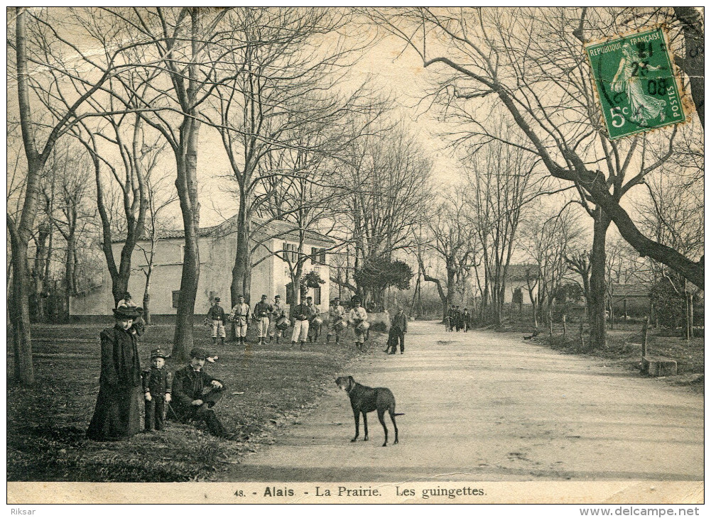 ALAIS(GARD) CARTE PANORAMIQUE DOUBLE - Alès