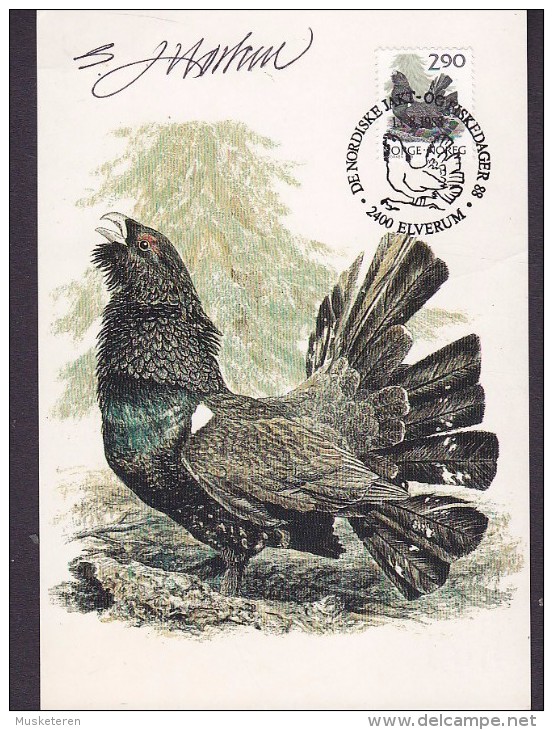 Norway Maximum Card Karte 1988 Bird Vogel Oiseau Auerhuhn (2 Scans) - Maximumkarten (MC)