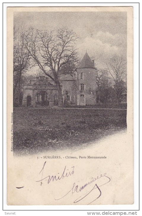 SURGERES - Château - Porte Monumentale. Carte Précurseur. - Autres & Non Classés