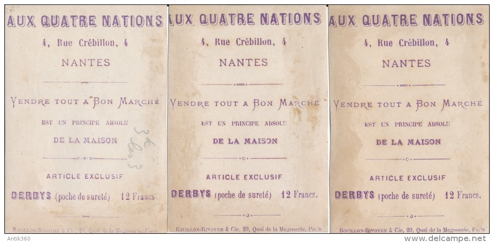 Lot De 3 Chromos Oiseaux - Magasins Aux Quatre Nations Nantes - Autres & Non Classés