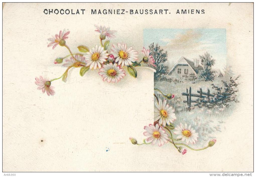 Chromo Chocolat Magniez-Baussart Amiens Fleurs Et Chaumière - Other & Unclassified