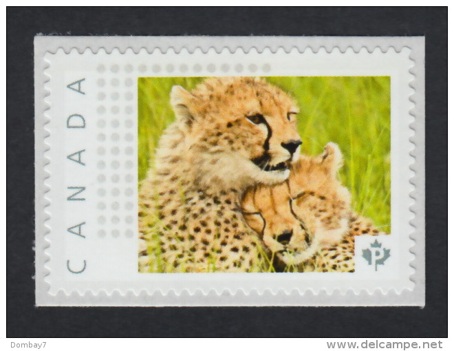 CHEETAH CUBS Picture Postage MNH Stamp Canada 2015 [p15/11cu2/1] - Big Cats (cats Of Prey)