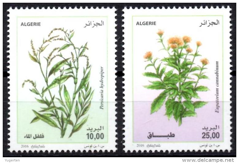 ALGERIA 2016 2 TP MNH** Medicinal Plants Plantes Medicinales Flora Flore Heilpflanzen Plantas Flowers - Blumen - Flores - Plantas Medicinales