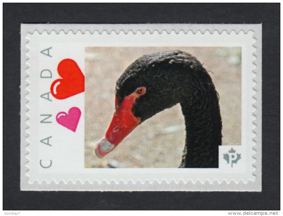 BLACK SWAN HEAD Picture Postage MNH Stamp Canada 2015 [p15/11sw2/1] - Cygnes