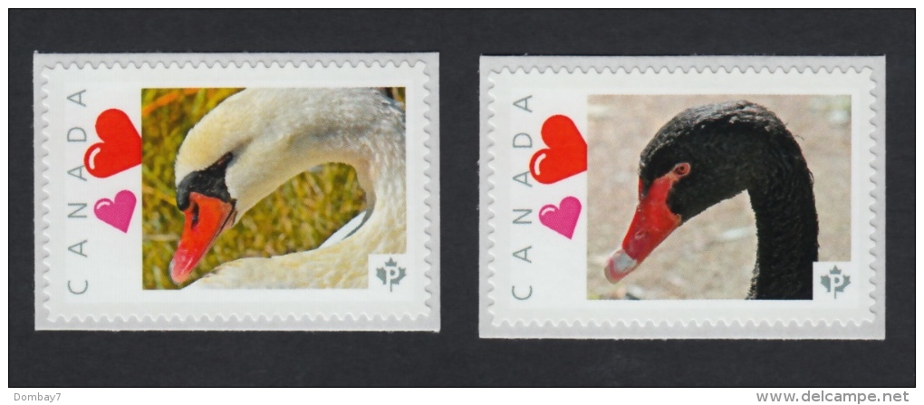 BLACK & WHITE SWAN HEADS Set 2 Picture Postage MNH Stamps Canada2015 [p15/11sw2] - Cygnes