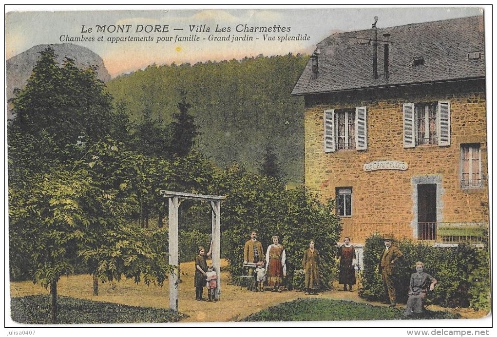 LE MONT DORE (63) Villa Les Charmettes Belle Animation - Le Mont Dore