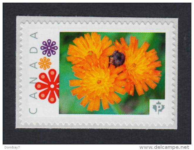 ORANGE WILD FLOWER Picture Postage MNH Stamps Canada 2015 [p15/11wf2/2] - Other & Unclassified