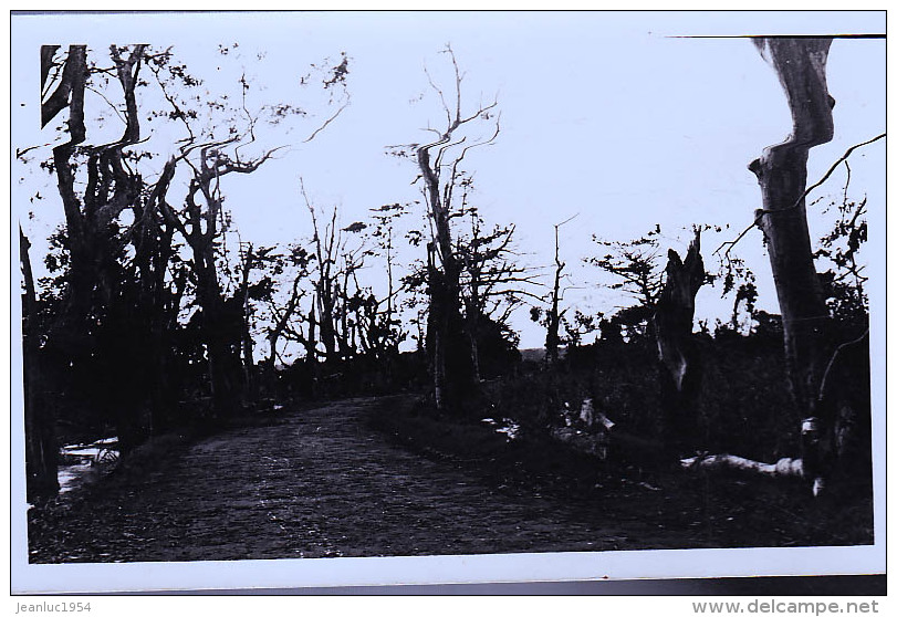 ILE MAURICE PHOTO CARTE - Maurice